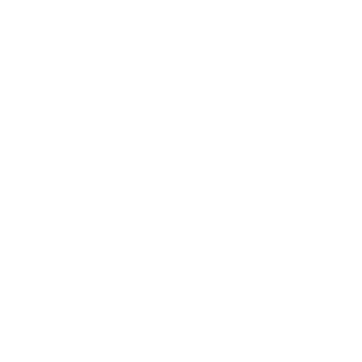 Print Icon